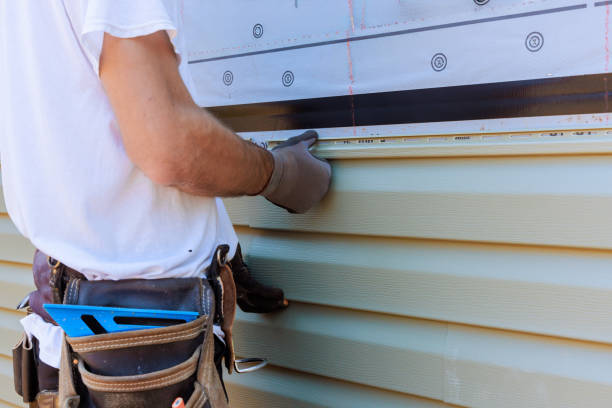 Affordable Siding Repair solutions in Albion, IL